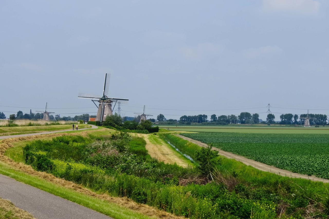 De Strandgaper Zevenhuizen  Exteriör bild