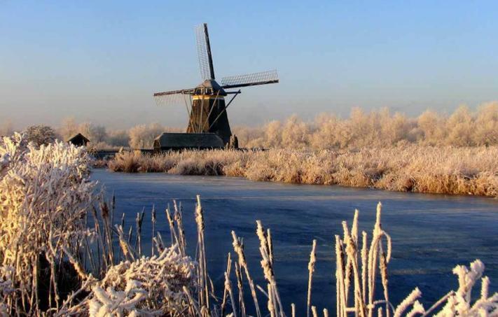 De Strandgaper Zevenhuizen  Exteriör bild